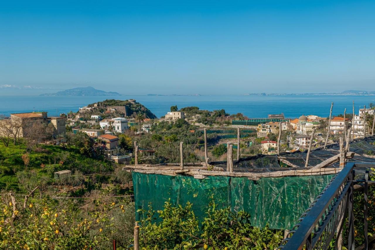 Il Viale Lägenhet Massa Lubrense Exteriör bild