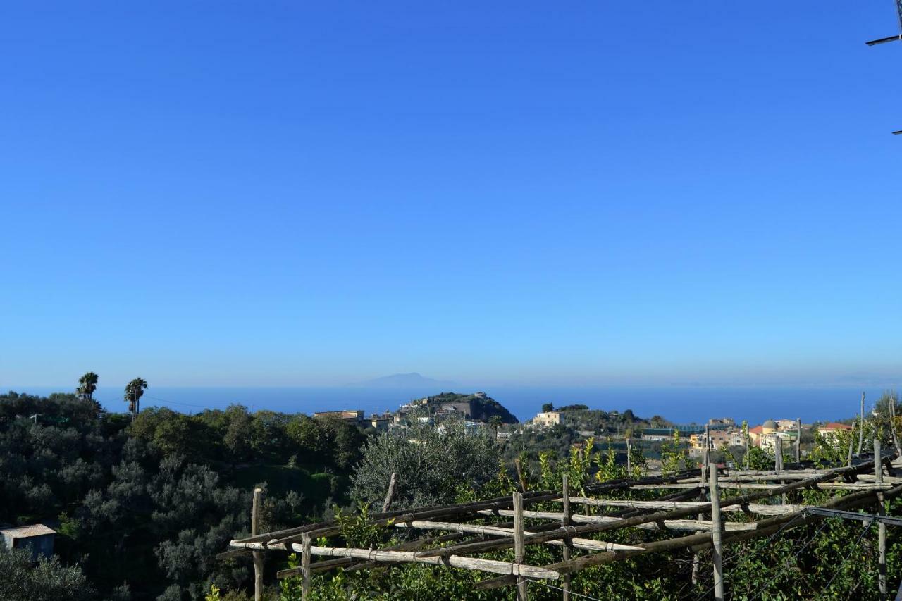 Il Viale Lägenhet Massa Lubrense Exteriör bild