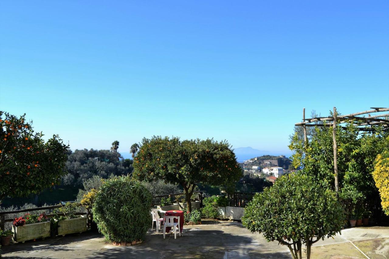 Il Viale Lägenhet Massa Lubrense Exteriör bild