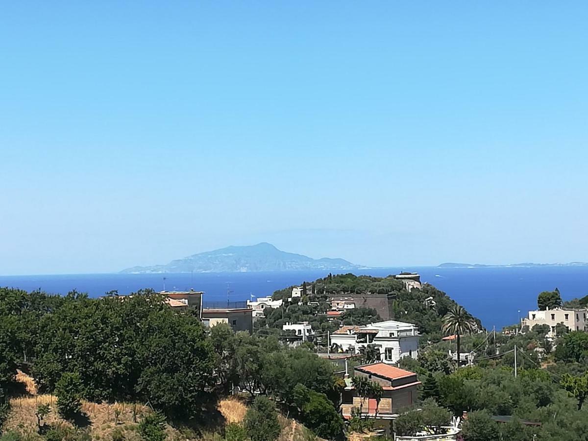 Il Viale Lägenhet Massa Lubrense Exteriör bild