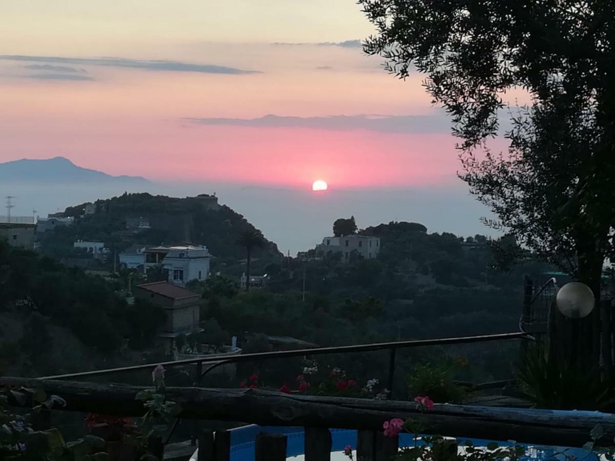 Il Viale Lägenhet Massa Lubrense Exteriör bild
