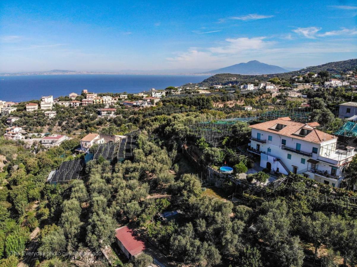 Il Viale Lägenhet Massa Lubrense Exteriör bild