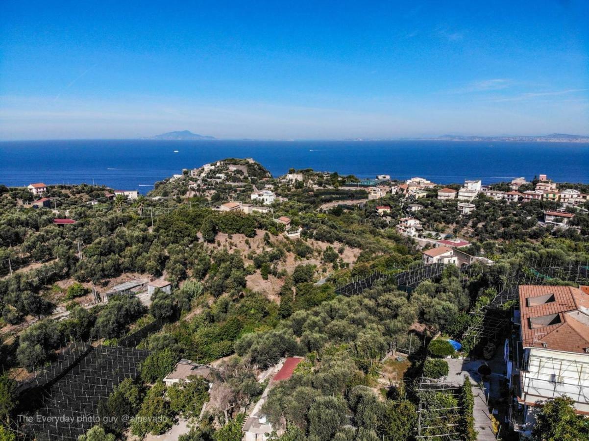 Il Viale Lägenhet Massa Lubrense Exteriör bild